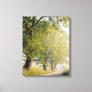 Lienzo Cades Cove  Grandes montañas Smokey, TN