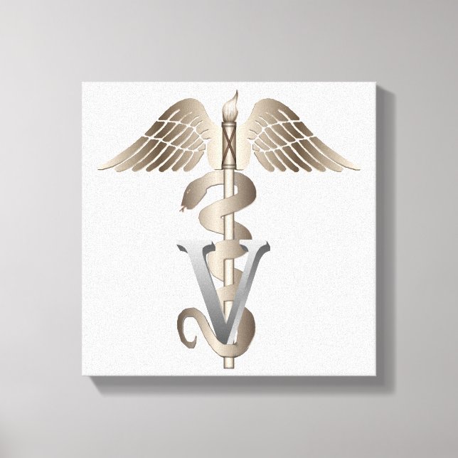 Lienzo Caduceus Veterinario (Anverso)