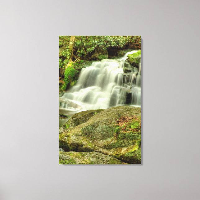 Lienzo Cae Elakala #2, Virginia Occidental (Anverso)