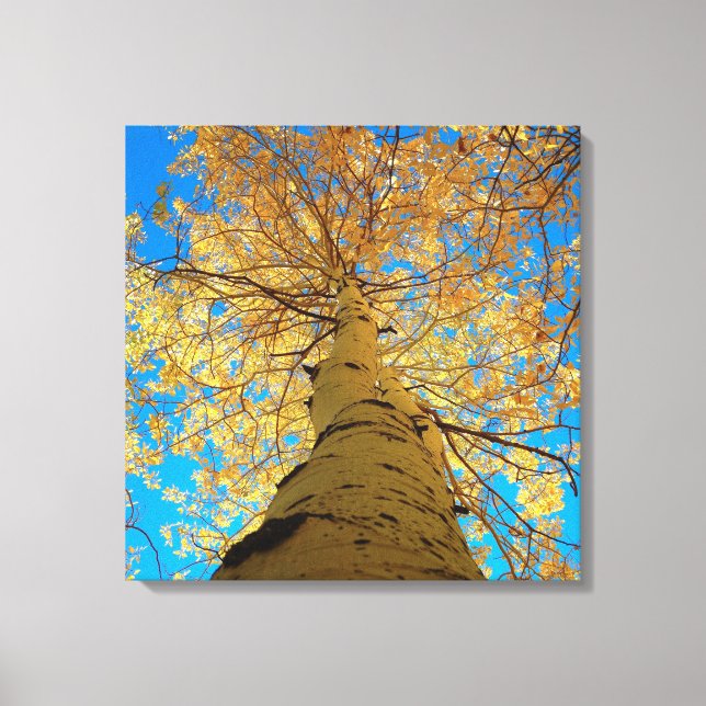 Lienzo ¡Cae, mira hacia arriba! (Anverso)