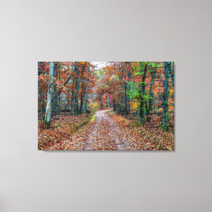 Lienzo Caer en el camino de tierra nuevo