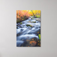 Caída a lo largo de Lundy Creek, California