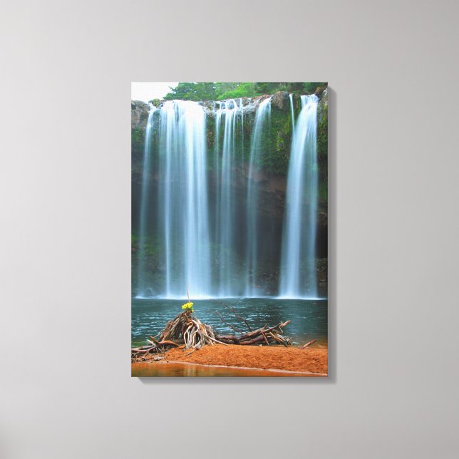 Lienzo CAÍDA DE AGUA DE FLORES AMARILLOS 16x24 (Anverso)