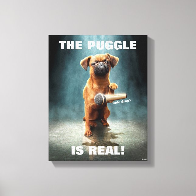 Lienzo Caída de micrófono de disco (Anverso)