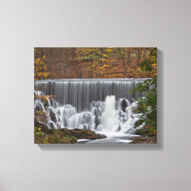 Lienzo Caída de otoño (Anverso)