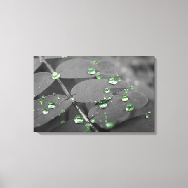 Lienzo Caídas de lluvia esmeralda (Anverso)