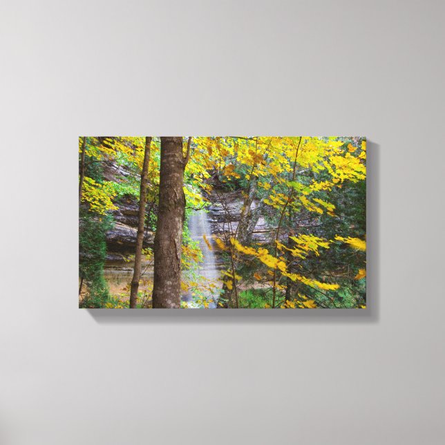 Lienzo Caídas de Munising en otoño, Munising, Michigan (Anverso)