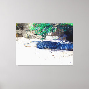 Lienzo Caimán descansando junto a un muro de piedra