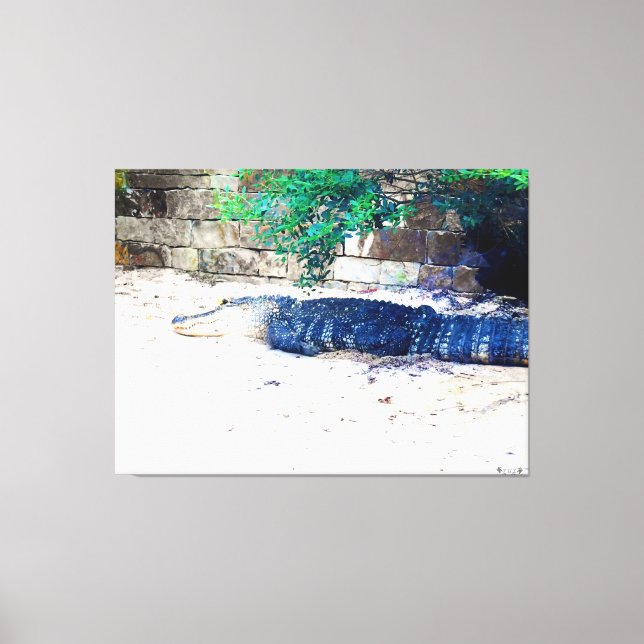 Lienzo Caimán descansando junto a un muro de piedra (Anverso)