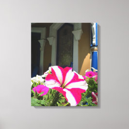 Lienzo Caja de flores de primavera - Viñedo de Martha