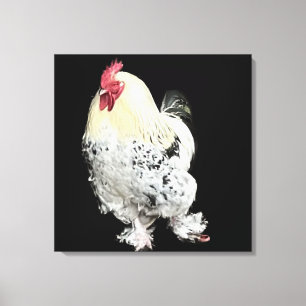 Lienzo Calabacín blanco con pies de plumas no 2