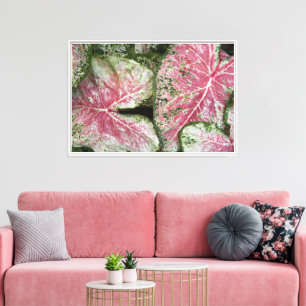 Lienzo Caladio rosa deja floral