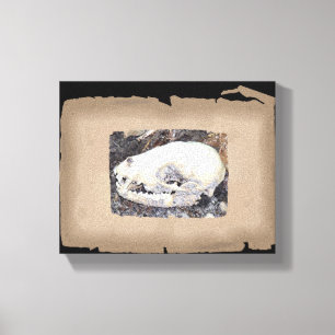 Lienzo Calavera sepia raccoon