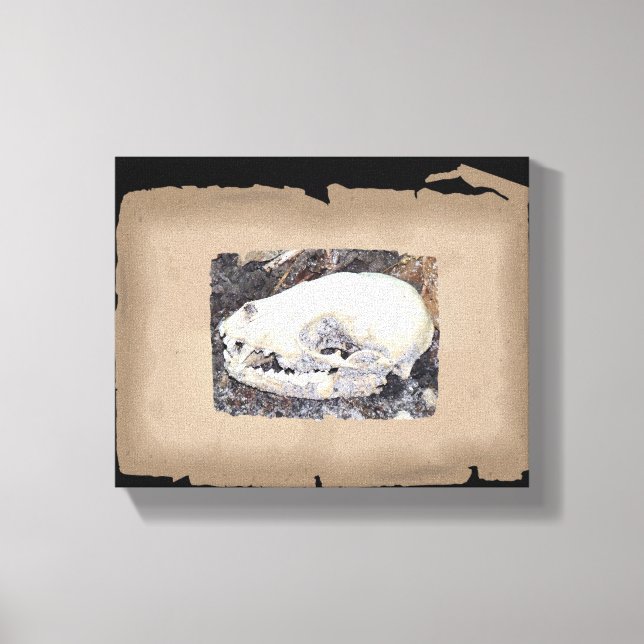Lienzo Calavera sepia raccoon (Anverso)