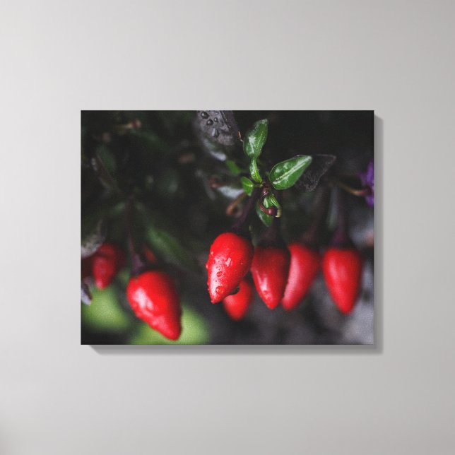 Lienzo Calderón rojo Salsa Chili Peppers. (Anverso)