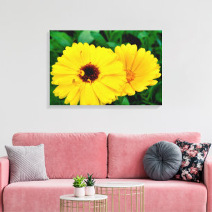 Lienzo Calendula Officinalis