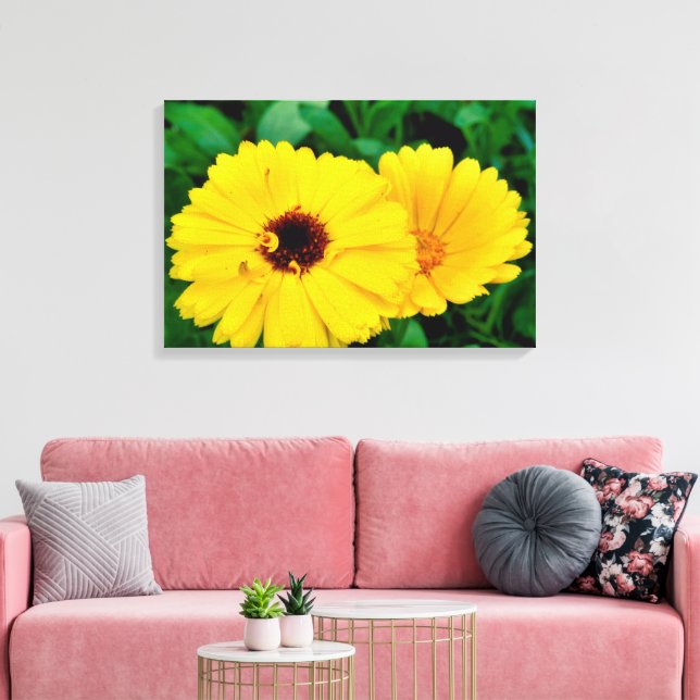 Lienzo Calendula Officinalis (Insitu (Sala de estar))