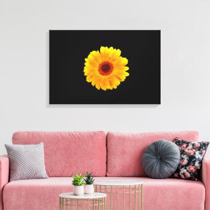 Lienzo Calendula Officinalis