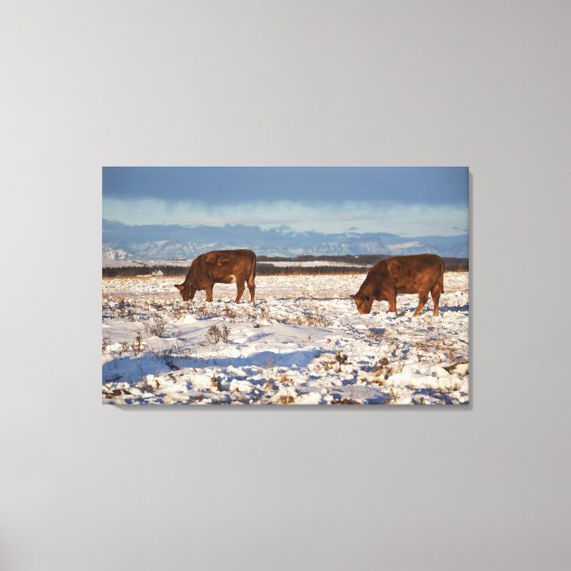 Lienzo calgario, alberta, canadá 2 (Anverso)