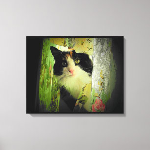 Lienzo Calico Curtain Cat