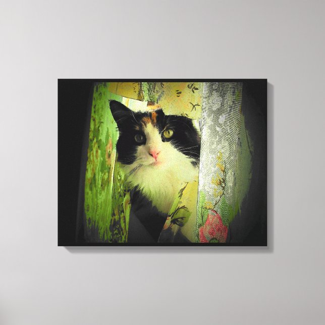 Lienzo Calico Curtain Cat (Anverso)