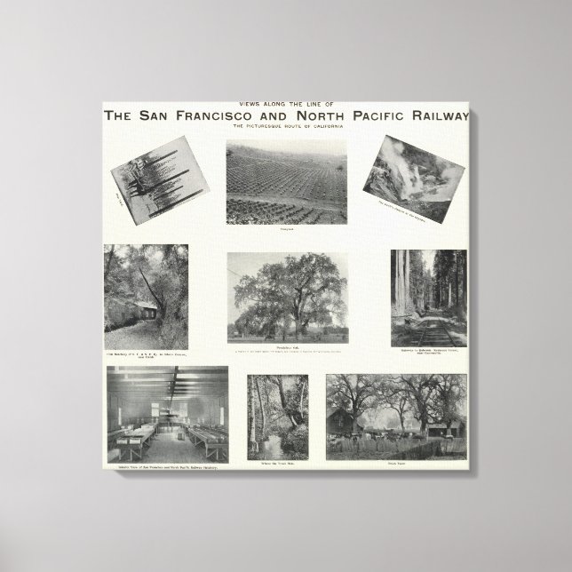 Lienzo California 4 (Anverso)