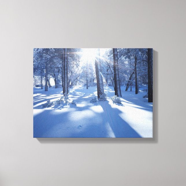 Lienzo California, Bosque Nacional de Cleveland, Laguna 3 (Anverso)