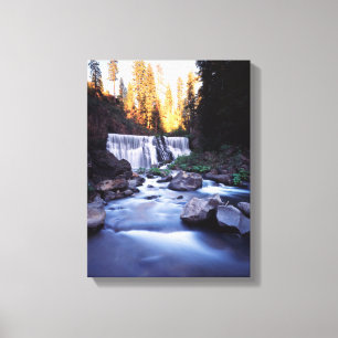 Lienzo California, Bosque Nacional Shasta-Trinity