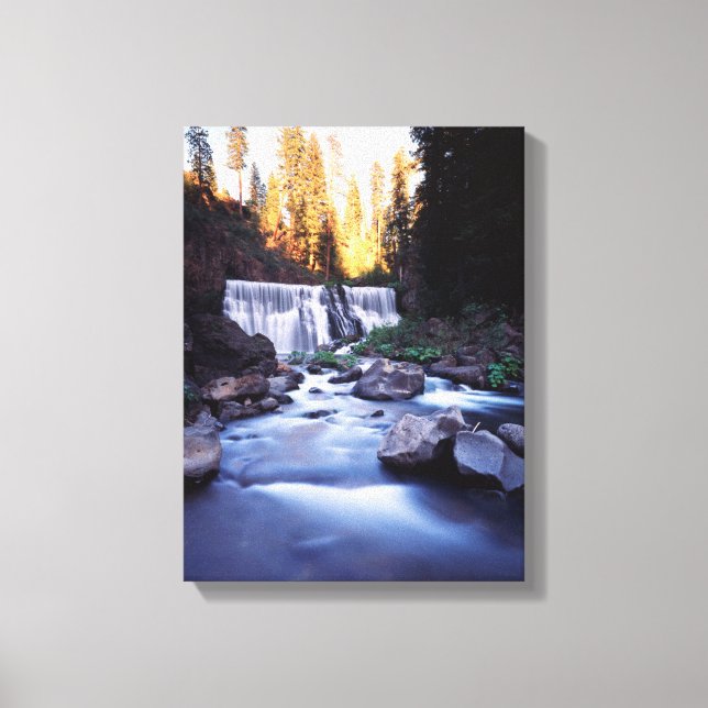 Lienzo California, Bosque Nacional Shasta-Trinity (Anverso)