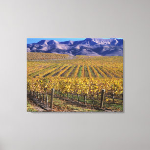 Lienzo California, Condado de San Luis Obispo, Edna Valle