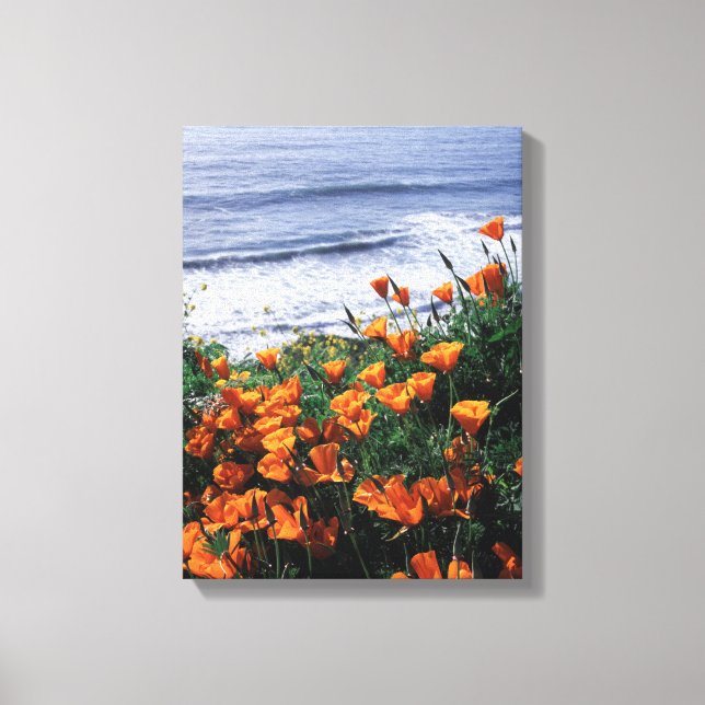 Lienzo California, Costa Big Sur, California Poppy (Anverso)