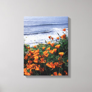 Lienzo California, Costa de Big Sur, Amapola de Californi
