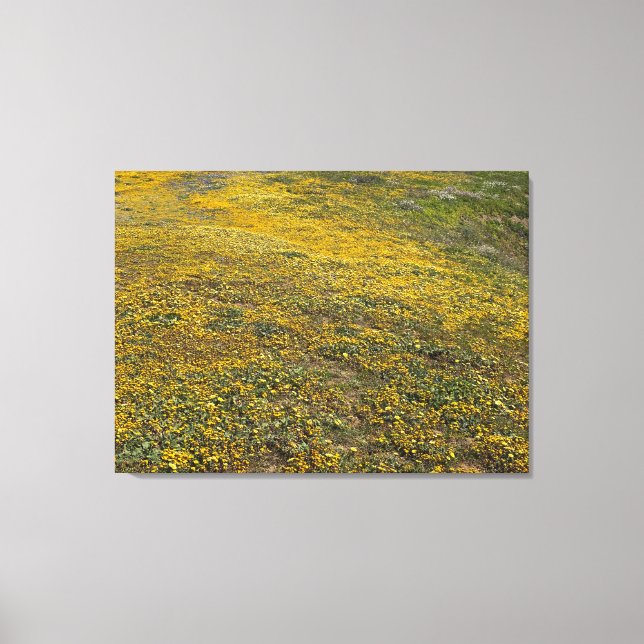 Lienzo California Goldfields (Anverso)