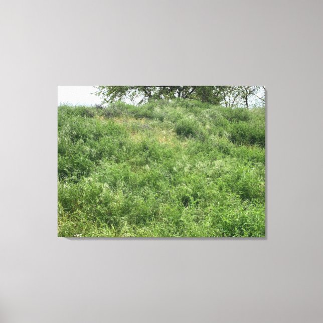 Lienzo California Green (Anverso)