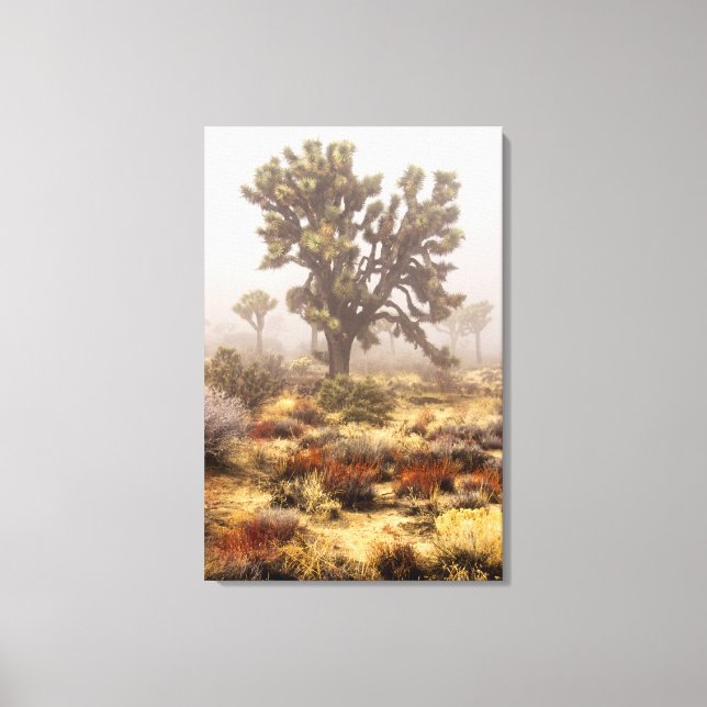 Lienzo California: Monumento Nacional Joshua Tree, (Anverso)