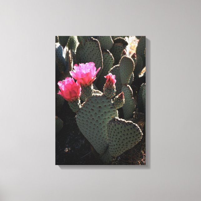 Lienzo California, Parque Estatal del Desierto de Anza Bo (Anverso)