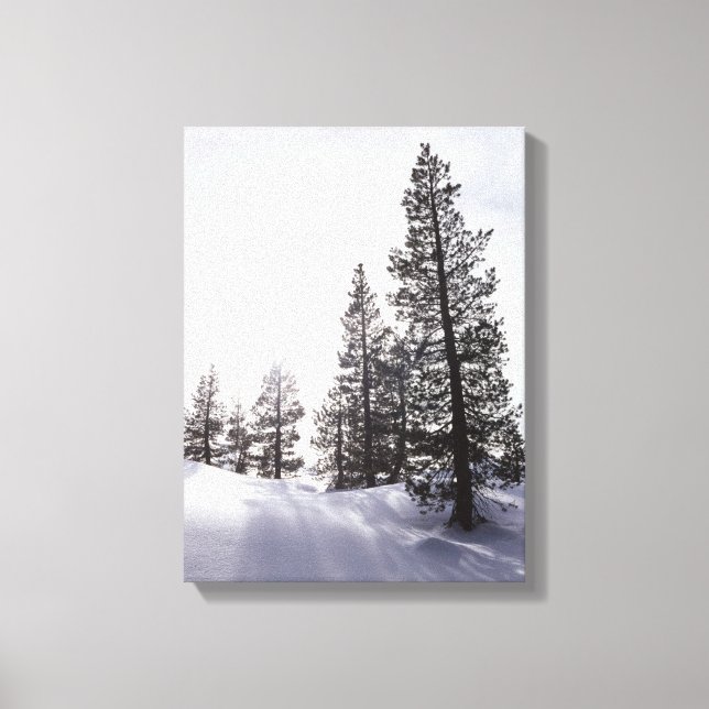 Lienzo California, Parque Estatal Rancho Cuyamaca (Anverso)