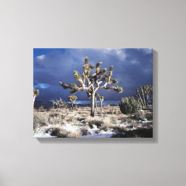 Lienzo California, Parque Nacional Joshua Tree (Anverso)