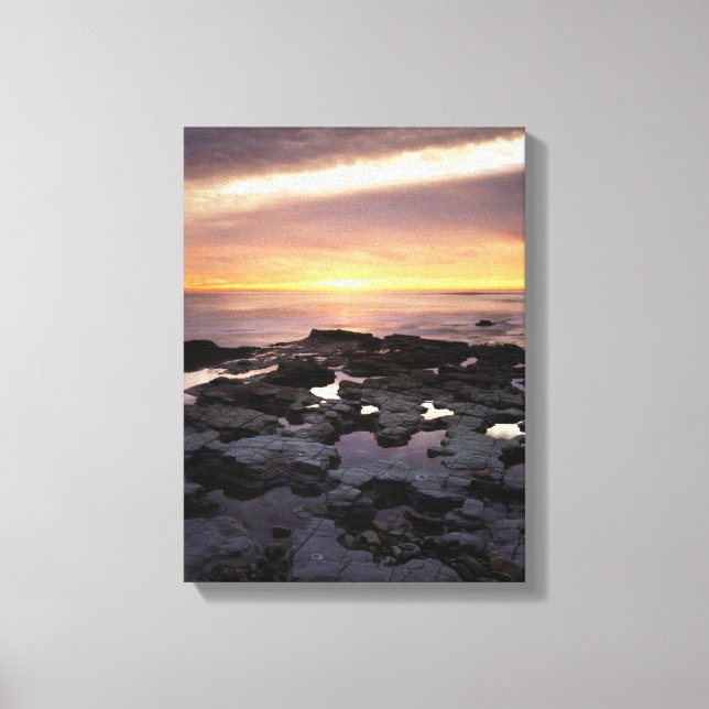 Lienzo California, San Diego, Sunset Cliffs, Atardecer 6 (Anverso)
