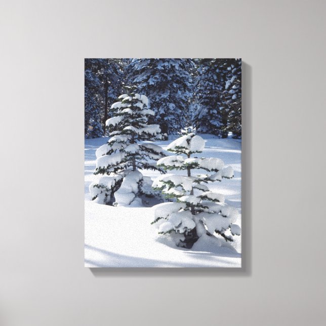 Lienzo California, Sierra Nevada Montañas 8 (Anverso)