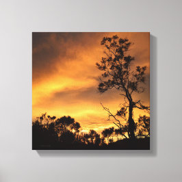Lienzo California Sunset