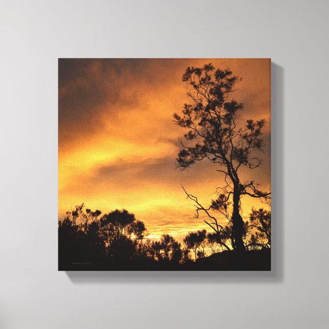 Lienzo California Sunset (Anverso)