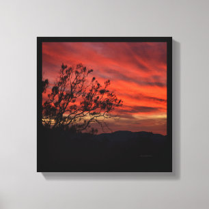 Lienzo Californis Sunset