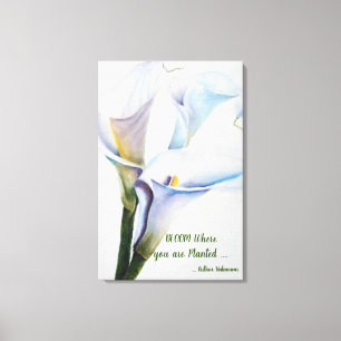Lienzo Calla blanca Lilies en acuarelas