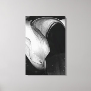 Lienzo Calla Lilly