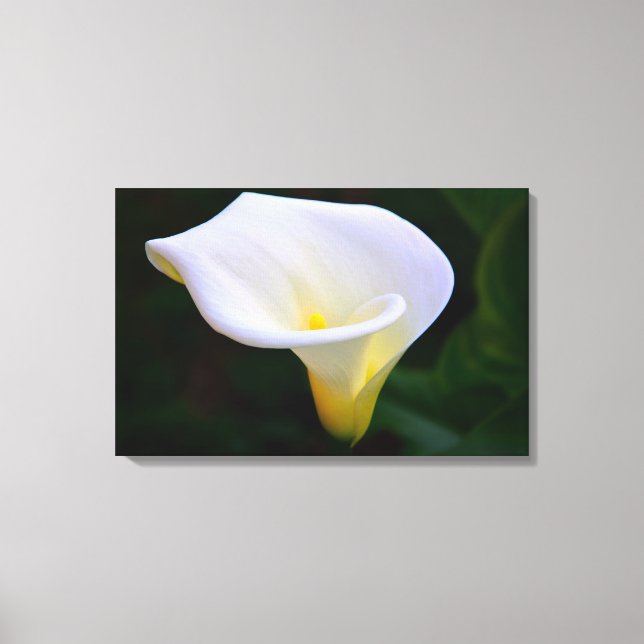 Lienzo Calla Lily (Anverso)