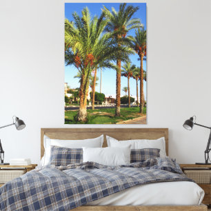 Lienzo Calle de palmeras datileras en la ciudad de Sharm 