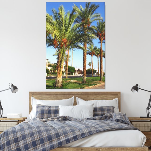 Lienzo Calle de palmeras datileras en la ciudad de Sharm  (Insitu(Dormitorio))