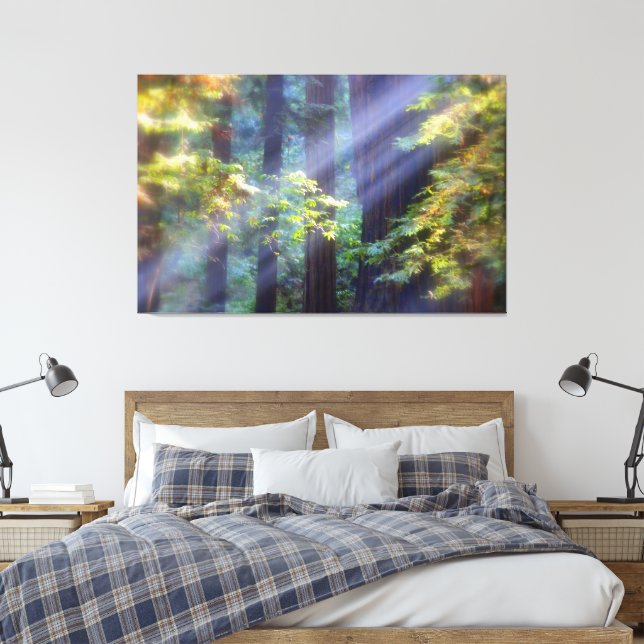 Lienzo Calming Foggy Forest of Fall (Insitu(Dormitorio))