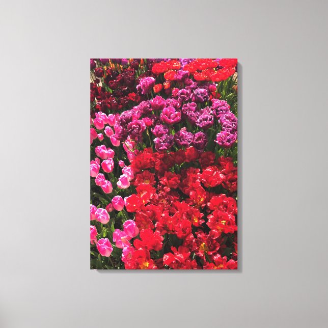 Lienzo Cama de jardín de tulipanes roja, púrpura y rosa,  (Anverso)